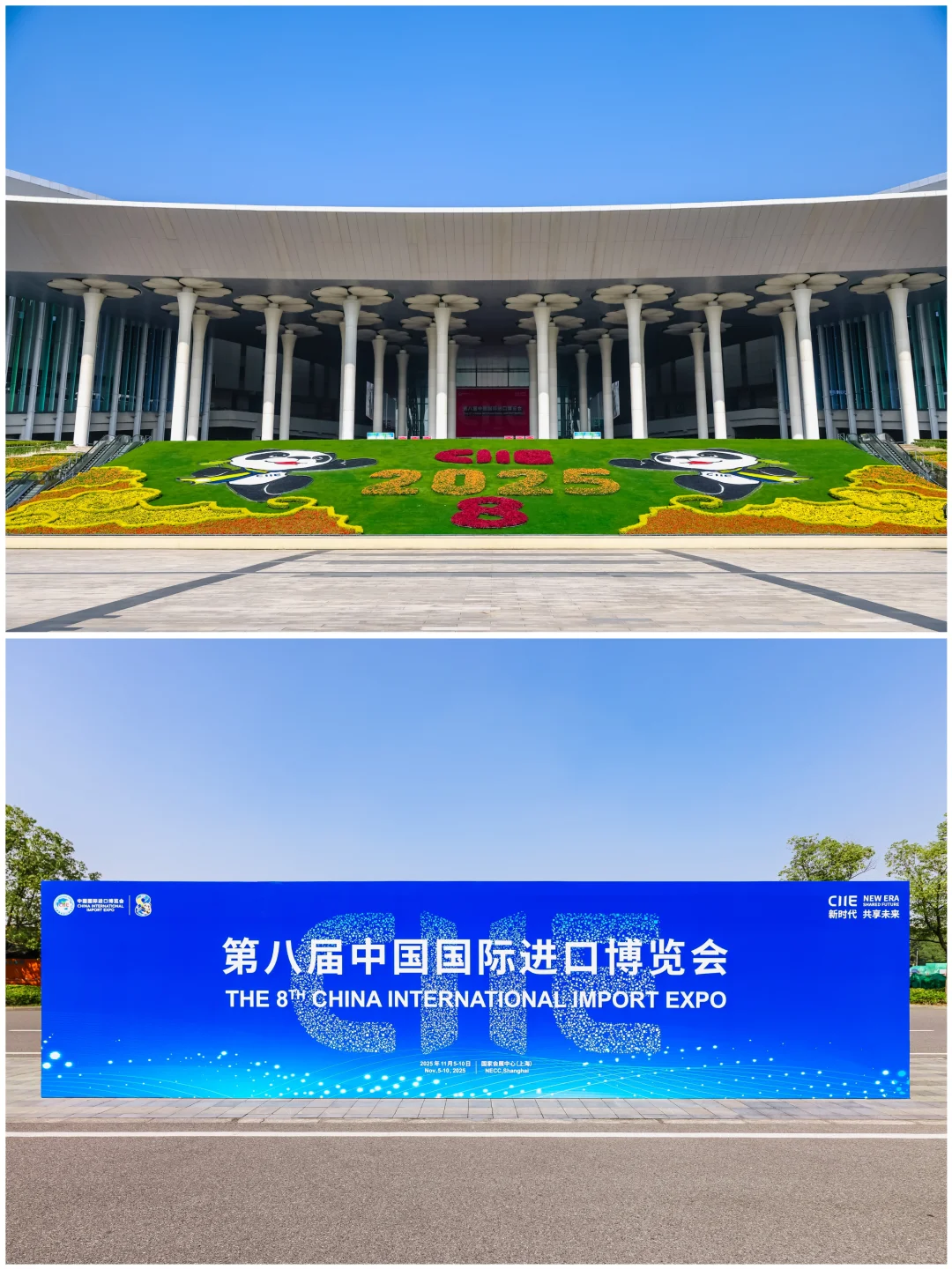 品牌活动分享丨「2025进博会美敦力展台」