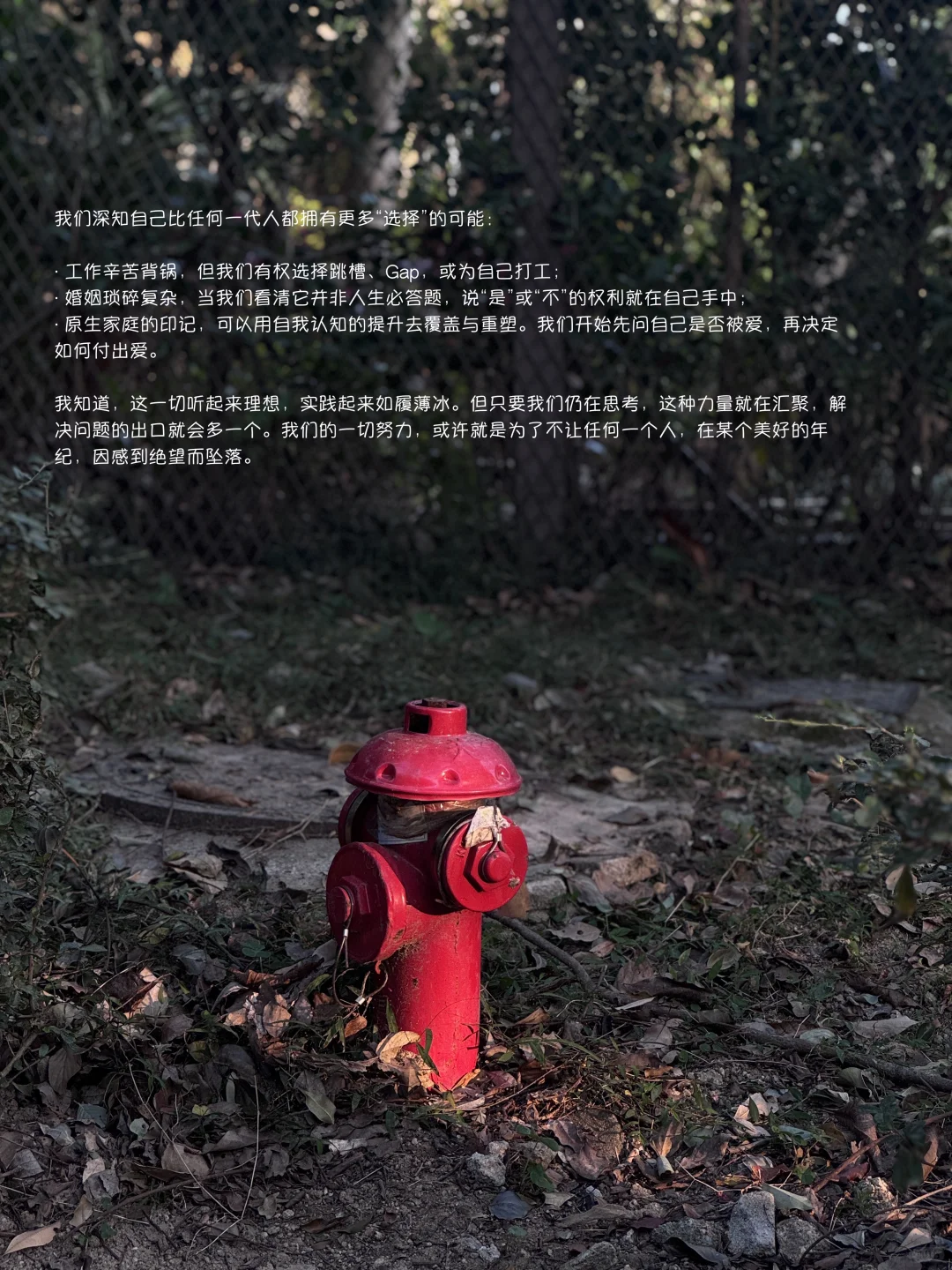 96年喜提人生30岁