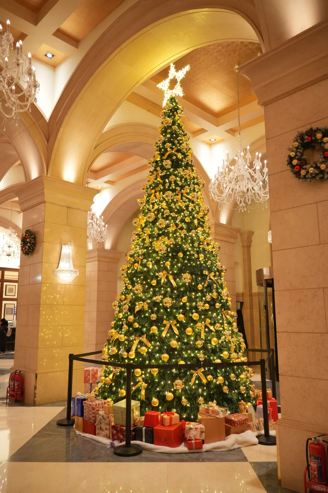 来王府井看圣诞树啦