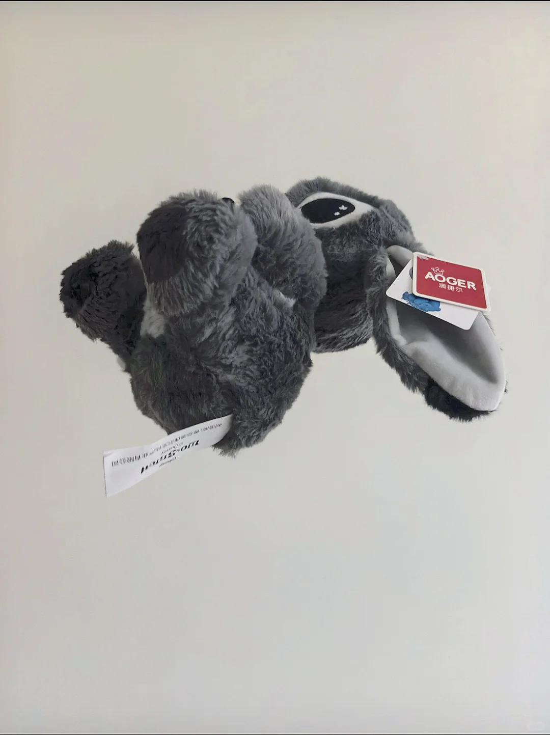 plog丨新人博主第1️⃣天丨勇敢迈出第一步?