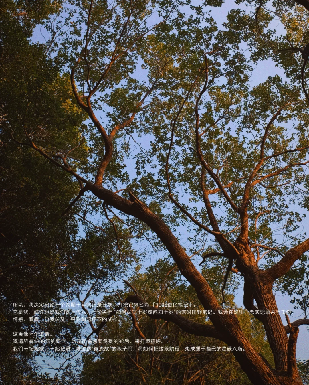 96年喜提人生30岁