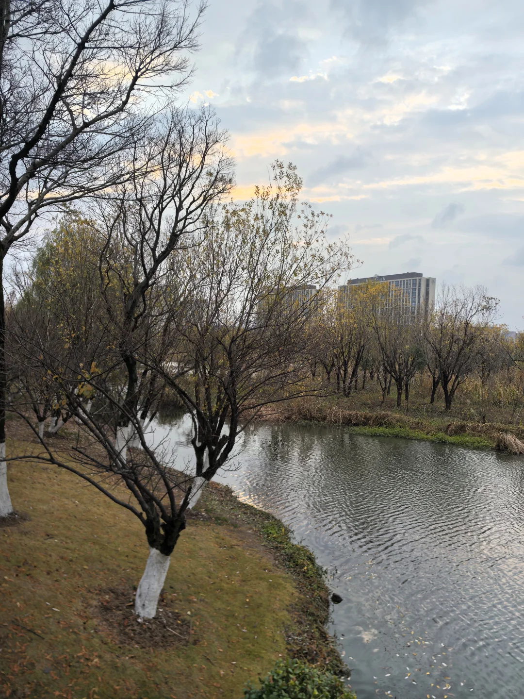冬日限定浪漫！在鄞州公园晨跑5公里~