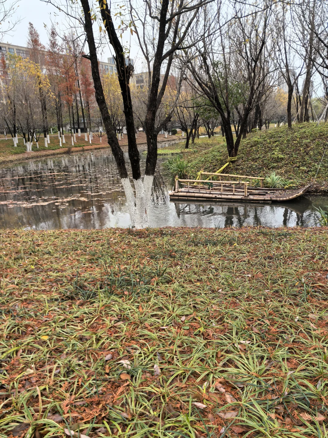 冬日限定浪漫！在鄞州公园晨跑5公里~