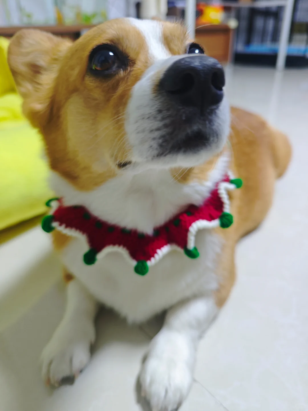 着急忙慌送出圣诞礼物