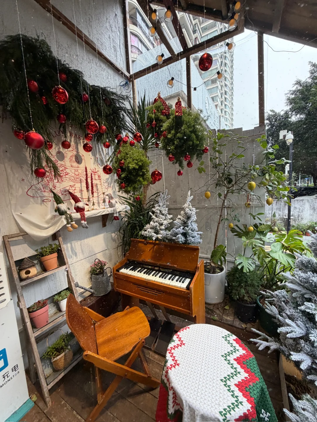 南宁！！新的…值得来二刷的宝藏小店?！！！