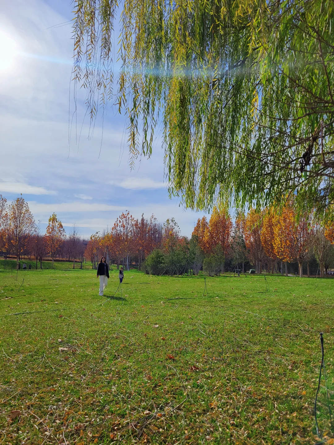 官宣❗️石家庄的封神秋色在这里❗️