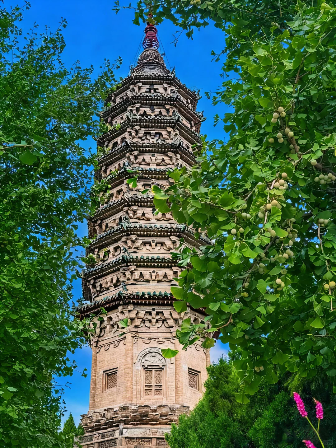 今年最喜爱的小城出现了——石家庄正定~