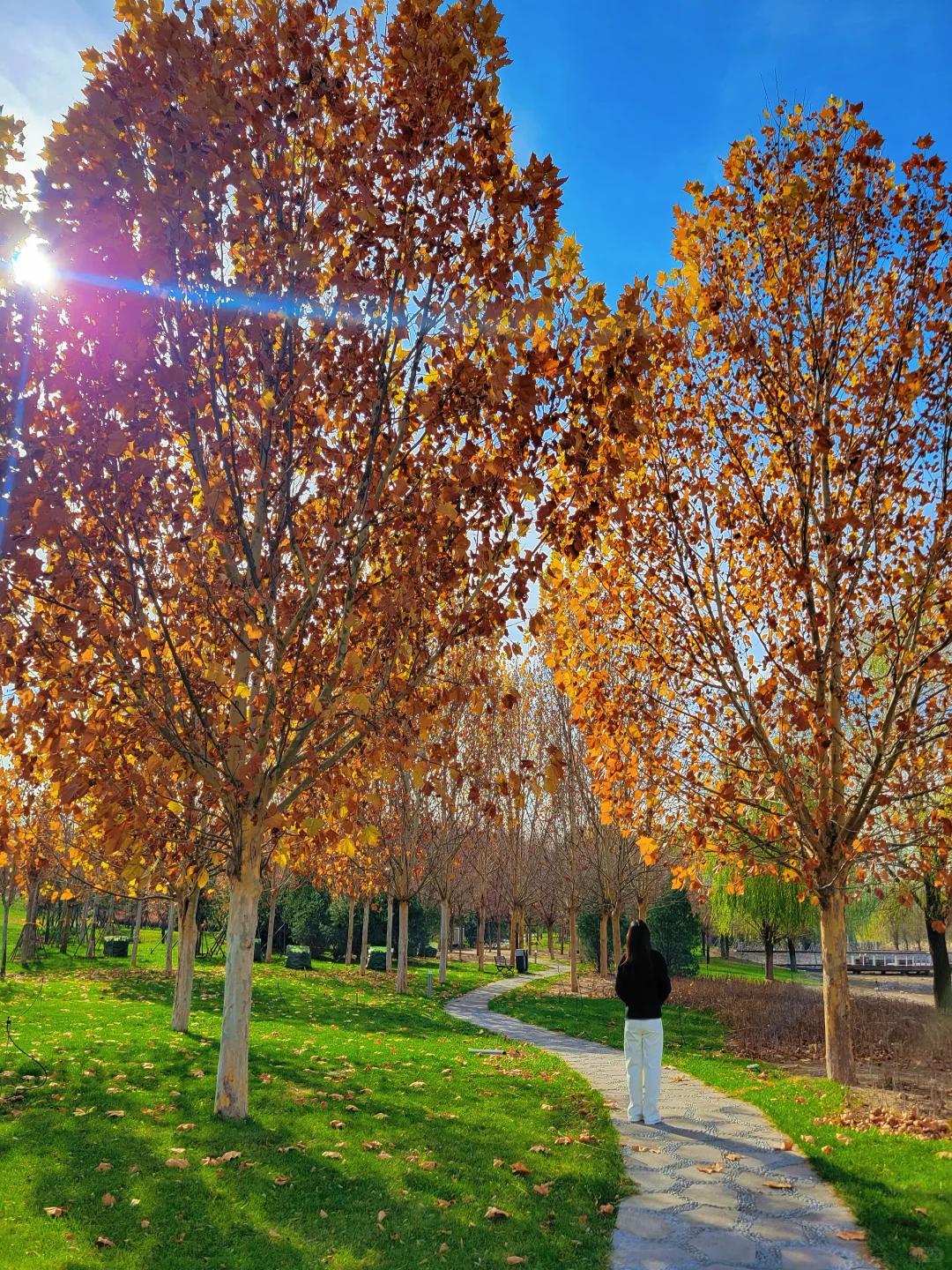 官宣❗️石家庄的封神秋色在这里❗️