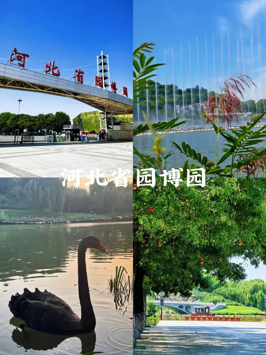 📍石家庄2日游｜这条路线太好逛了吧❗️