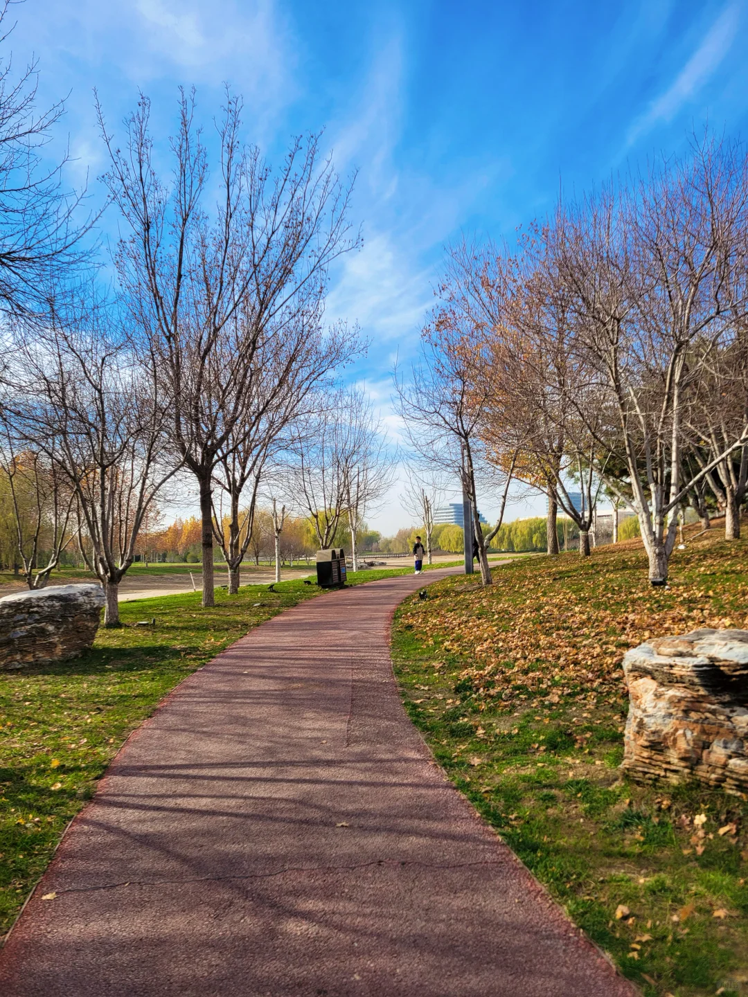 官宣❗️石家庄的封神秋色在这里❗️