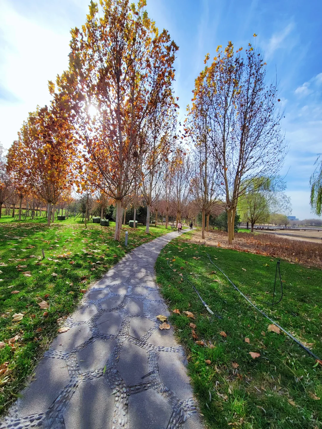 官宣❗️石家庄的封神秋色在这里❗️