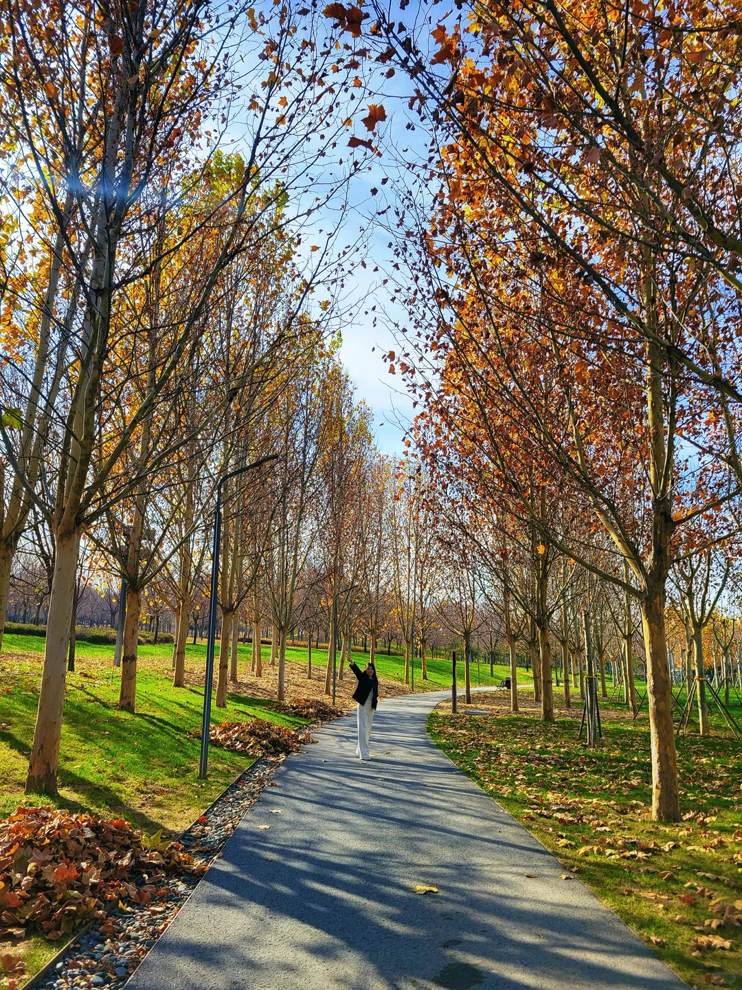 官宣❗️石家庄的封神秋色在这里❗️