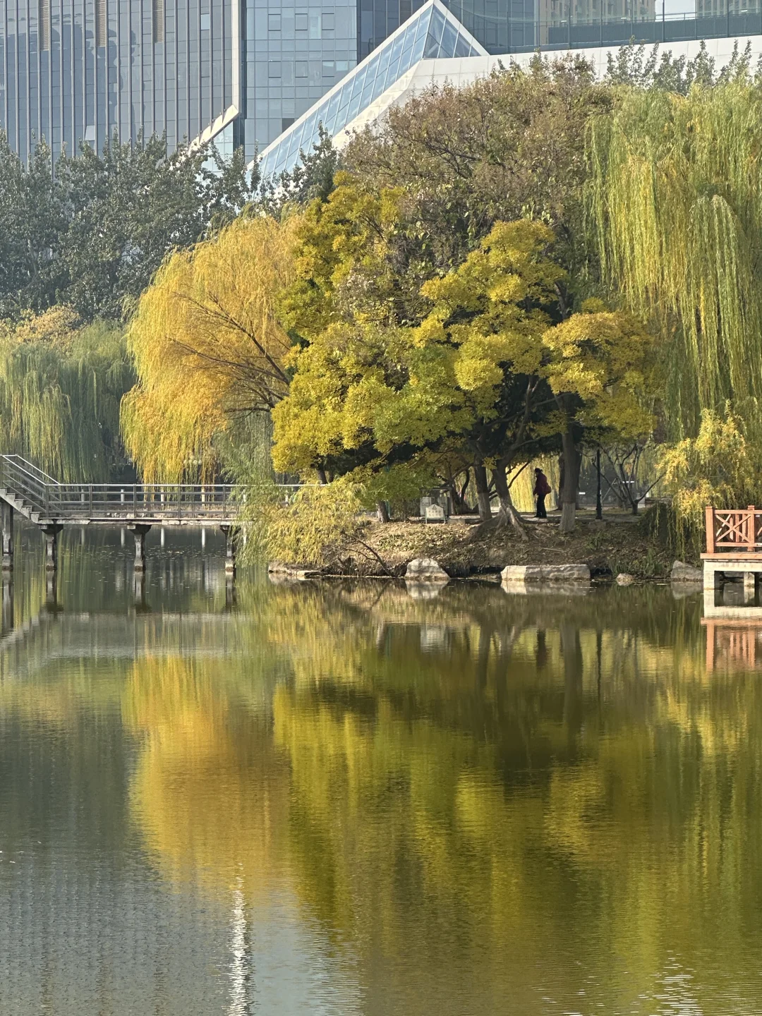 每个南方宝宝都应该逛一次北方的公园