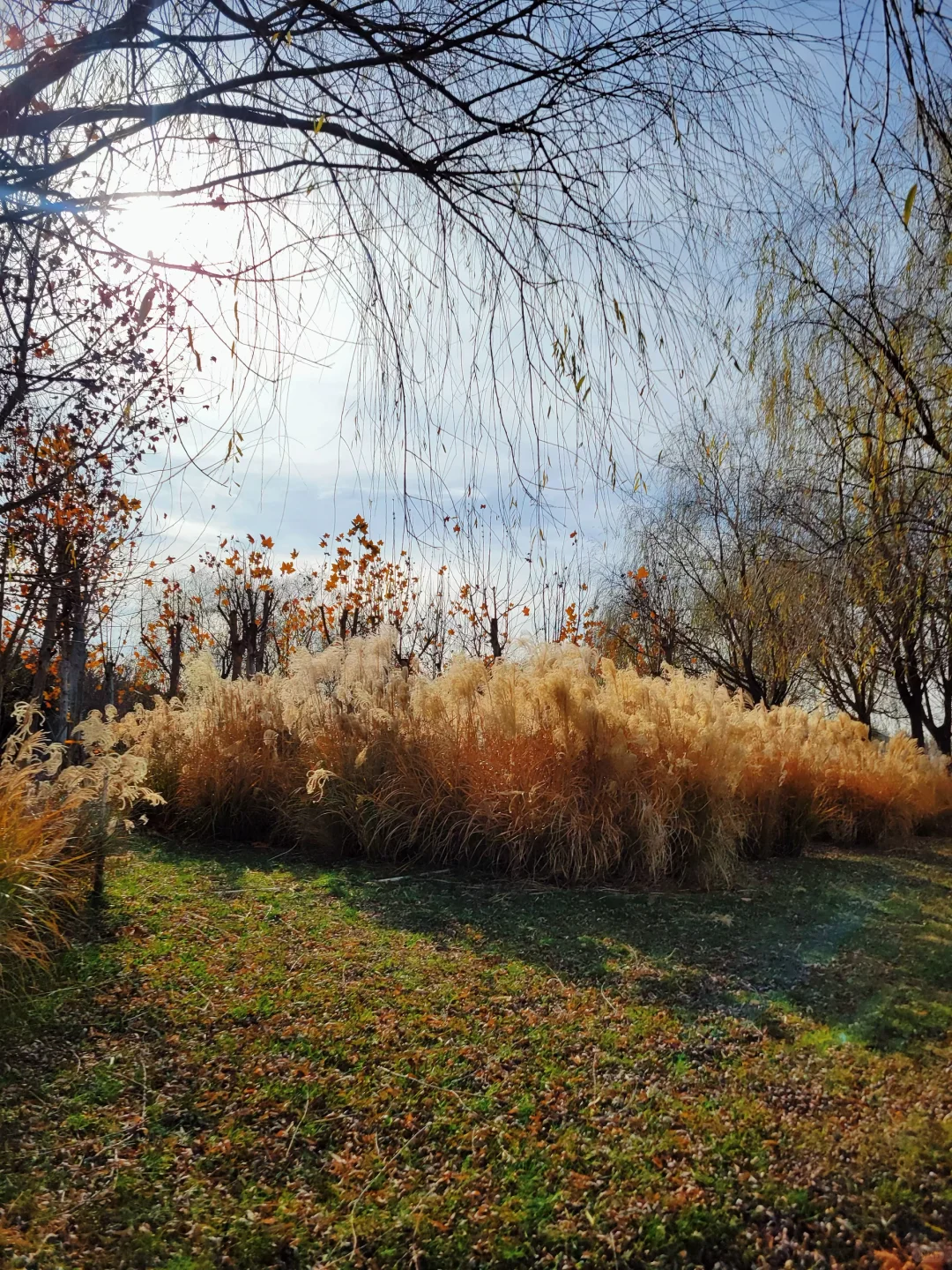 官宣❗️石家庄的封神秋色在这里❗️