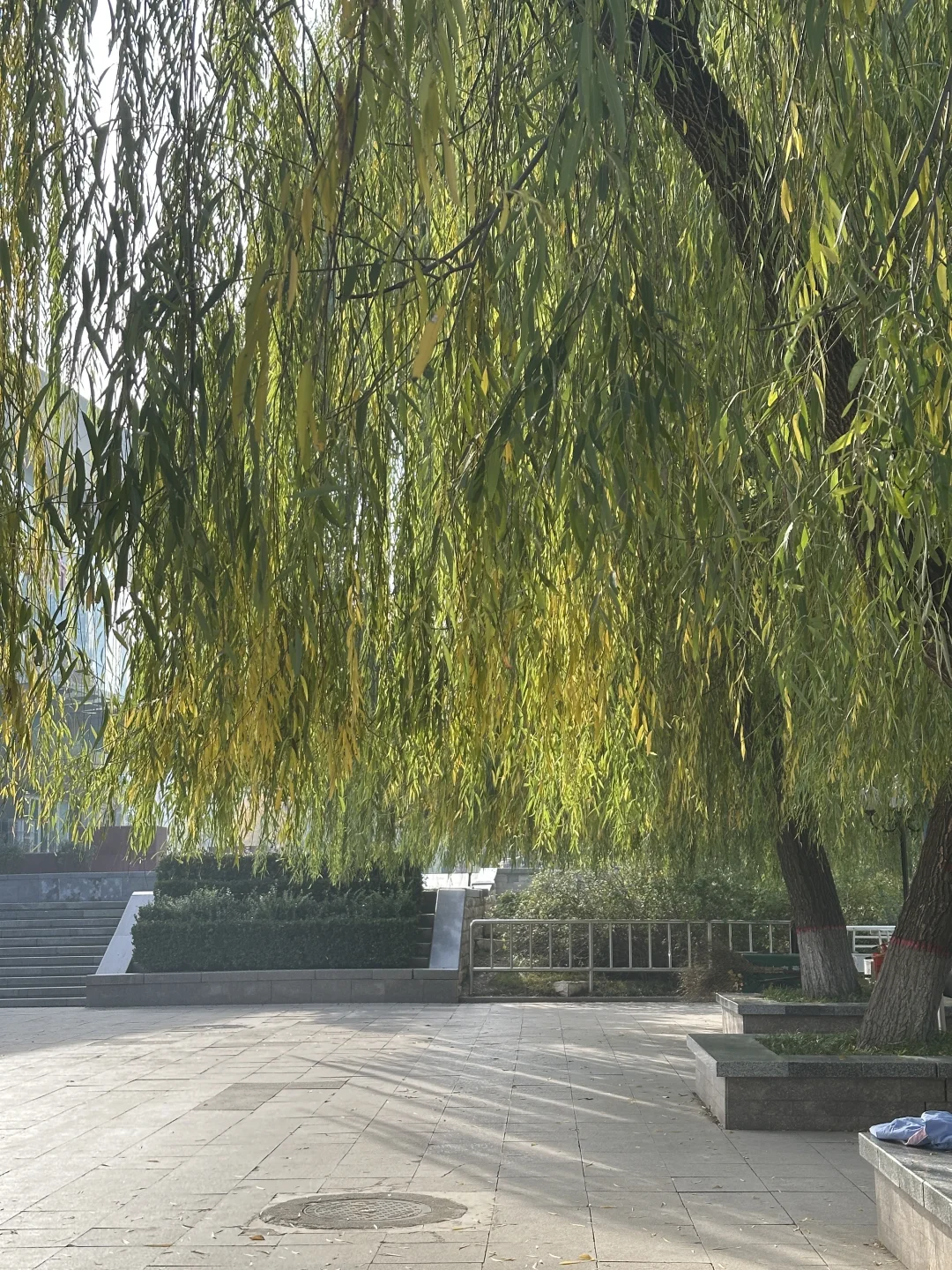 每个南方宝宝都应该逛一次北方的公园