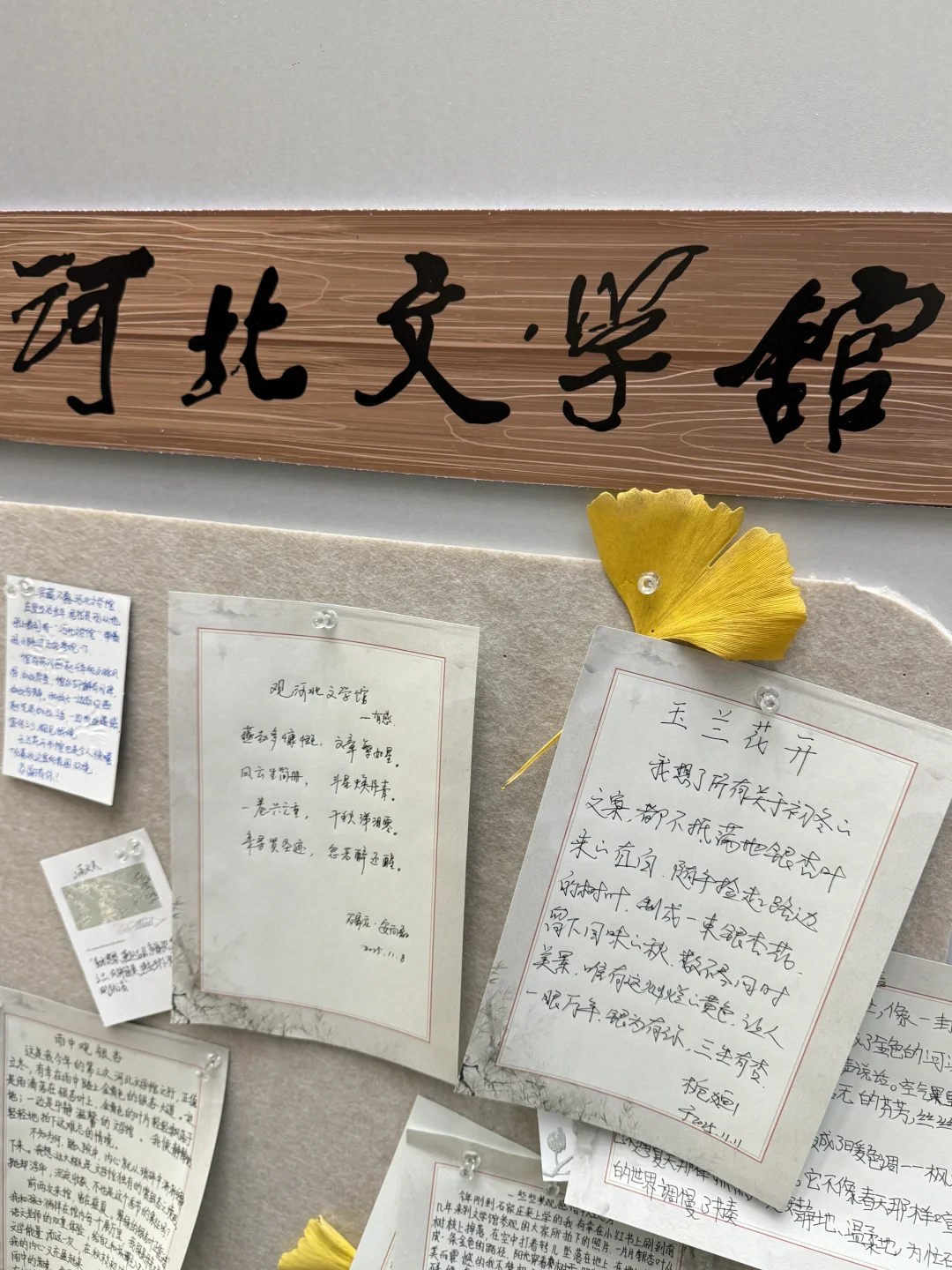 （石家庄）……顶美银杏大道……全免费～