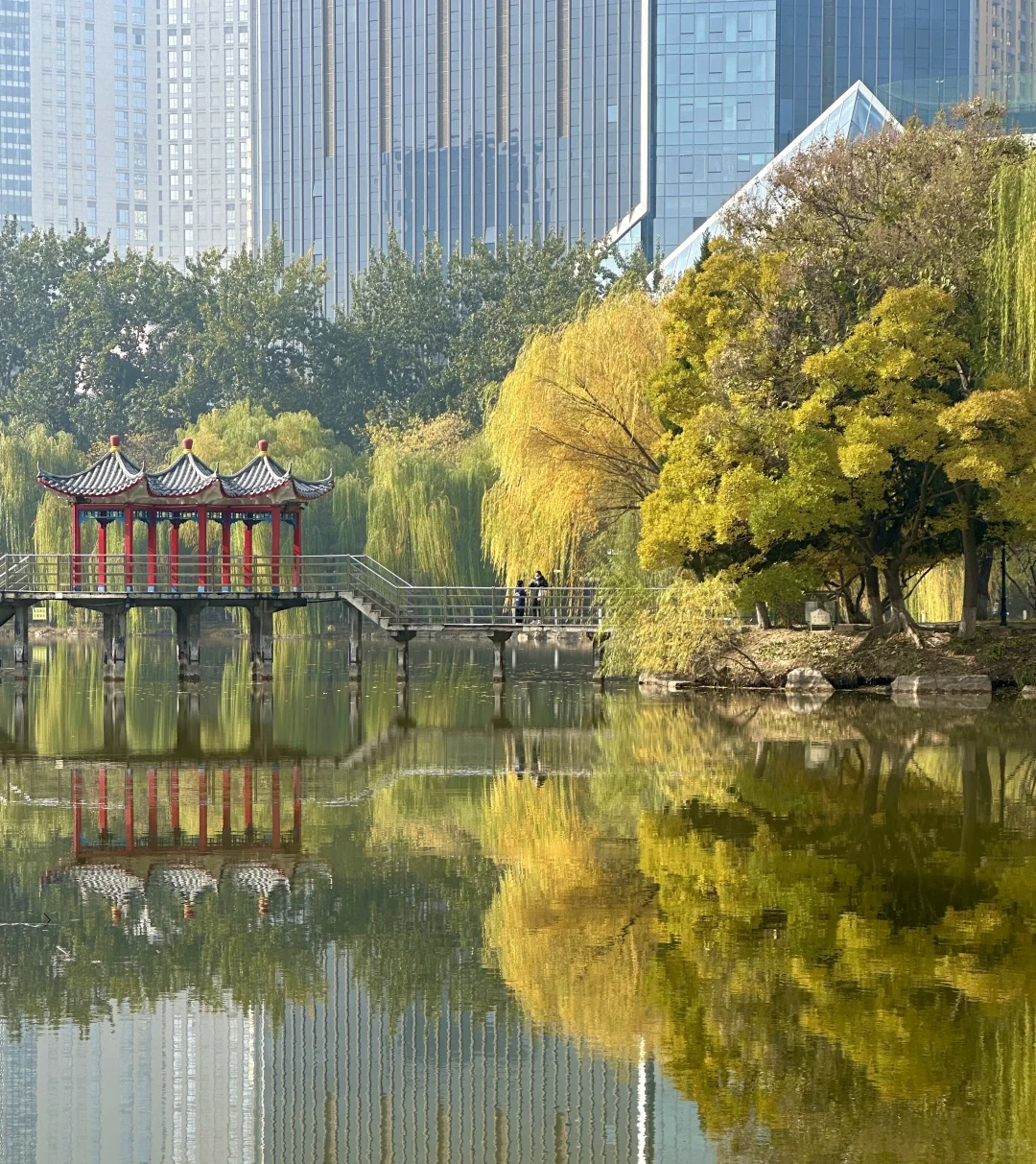 每个南方宝宝都应该逛一次北方的公园