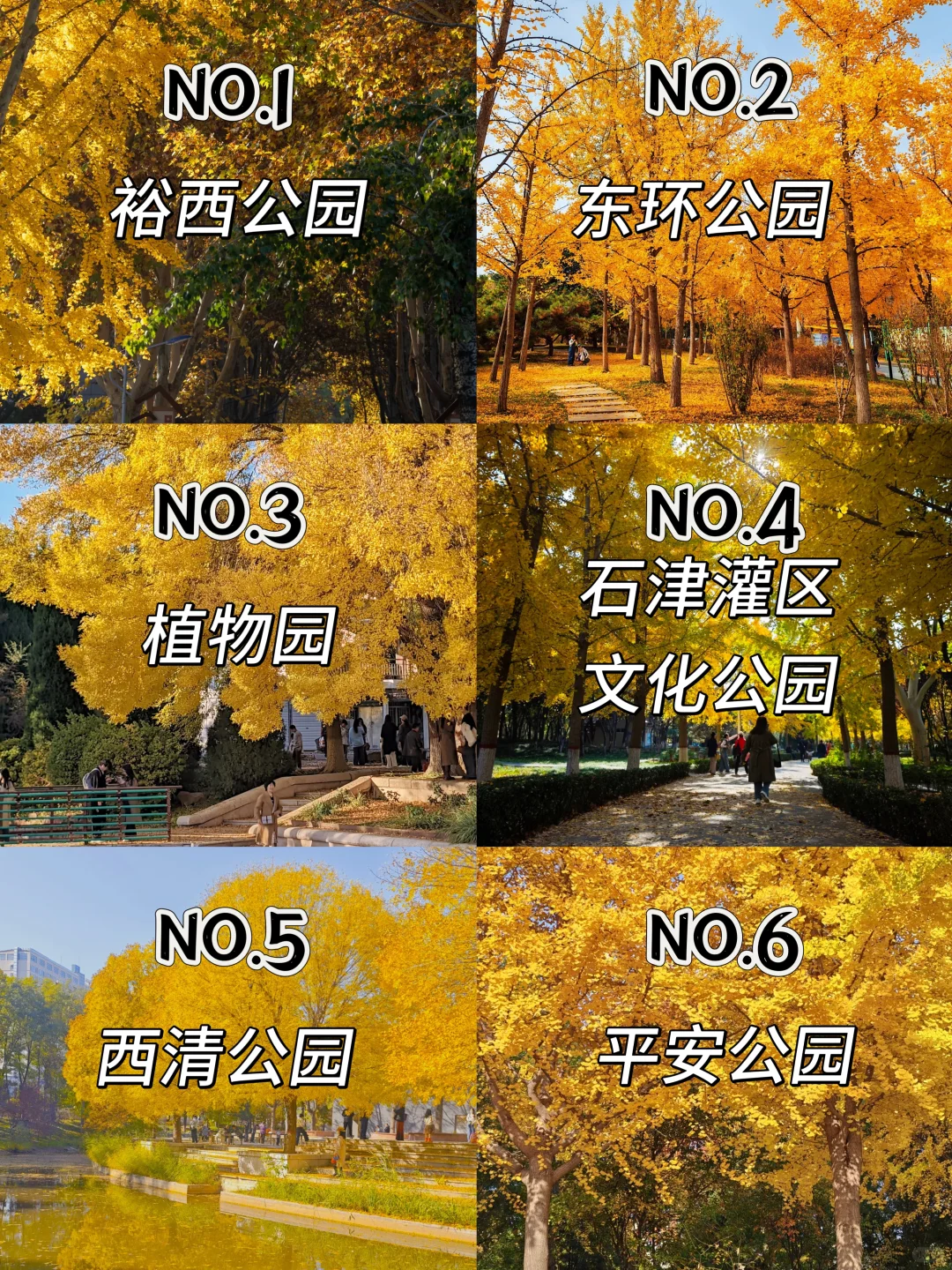 📍石家庄！赏秋好去处！6️⃣个公园合集