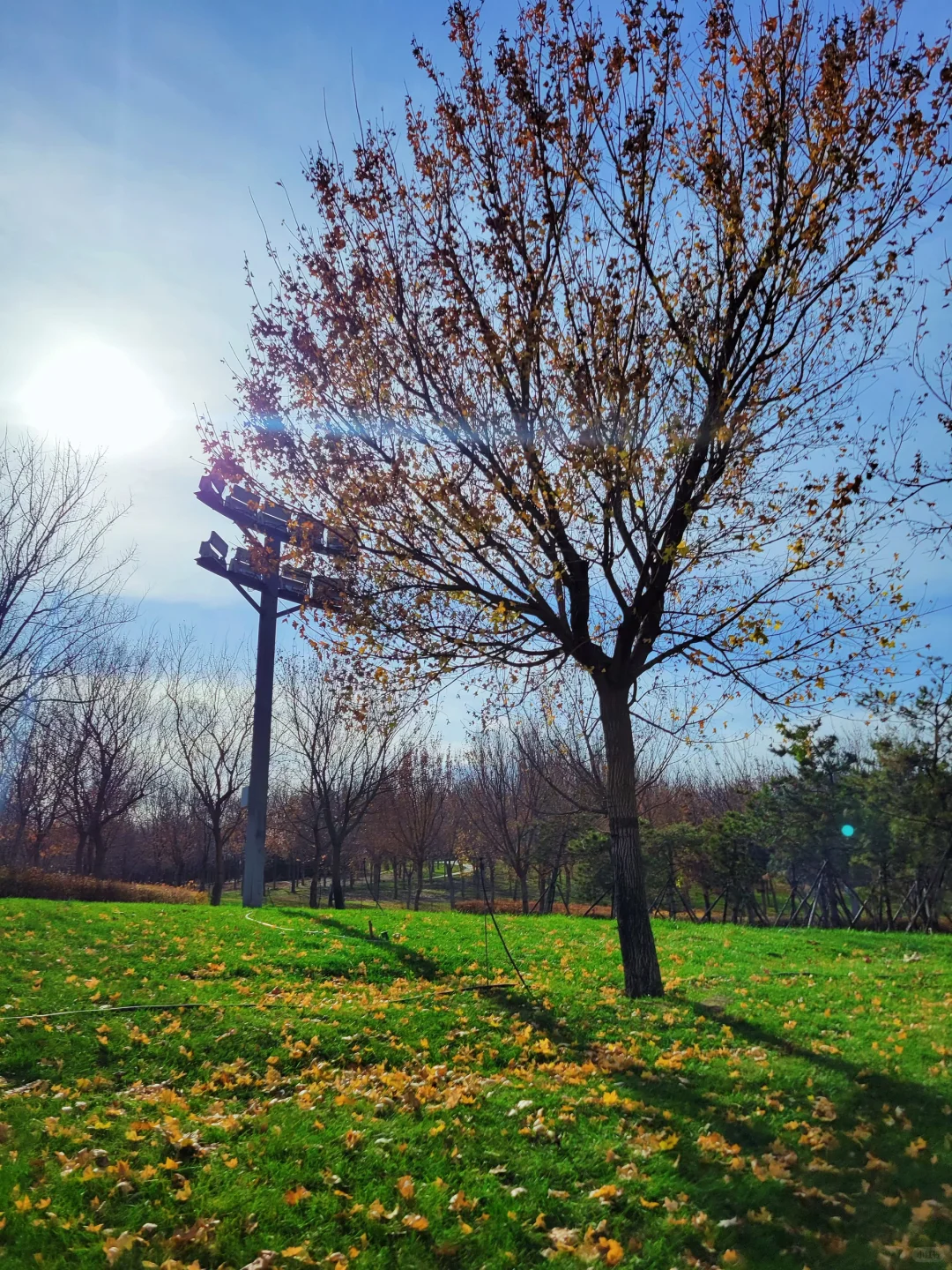 官宣❗️石家庄的封神秋色在这里❗️