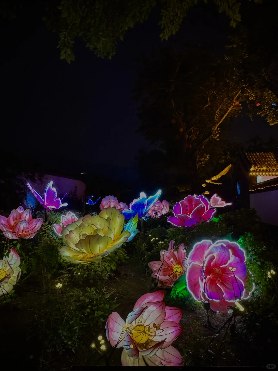 今年最喜爱的小城出现了——石家庄正定~