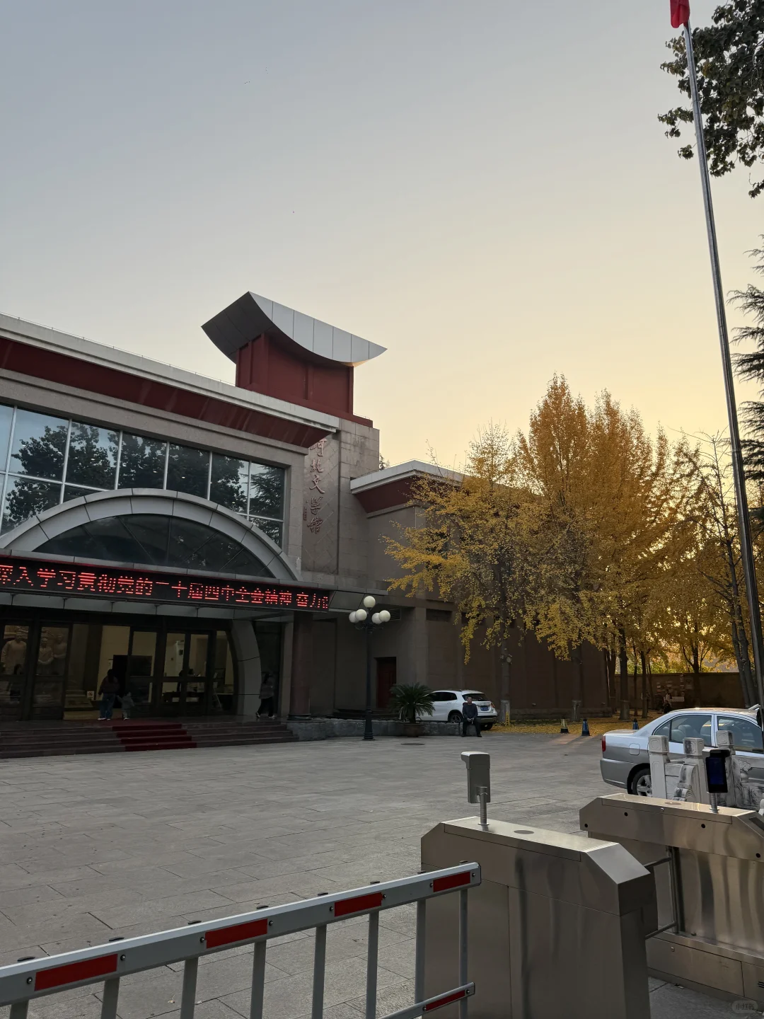 （石家庄）……顶美银杏大道……全免费～