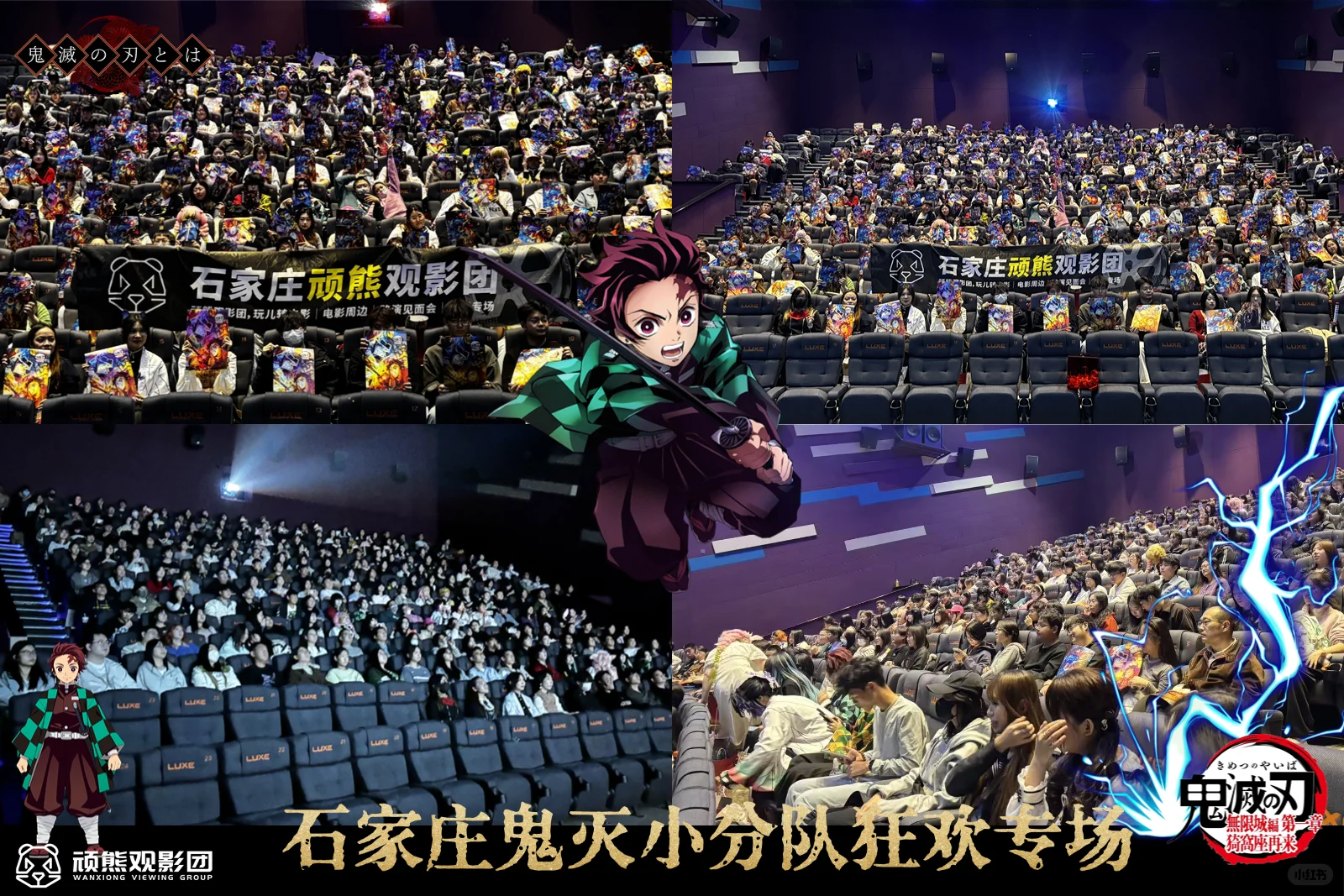 11月15日石家庄被「全集中呼吸」席卷了！