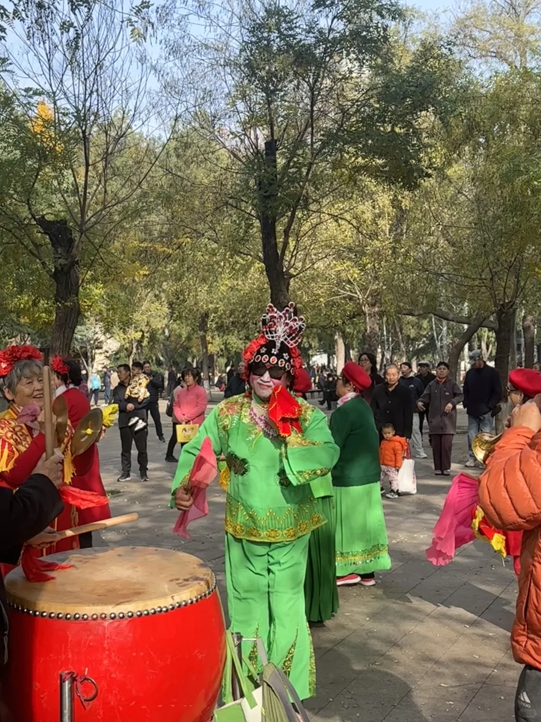 每个南方宝宝都应该逛一次北方的公园