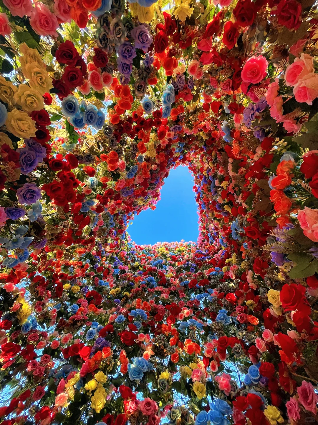 终于登顶了⛰️太值得啦！