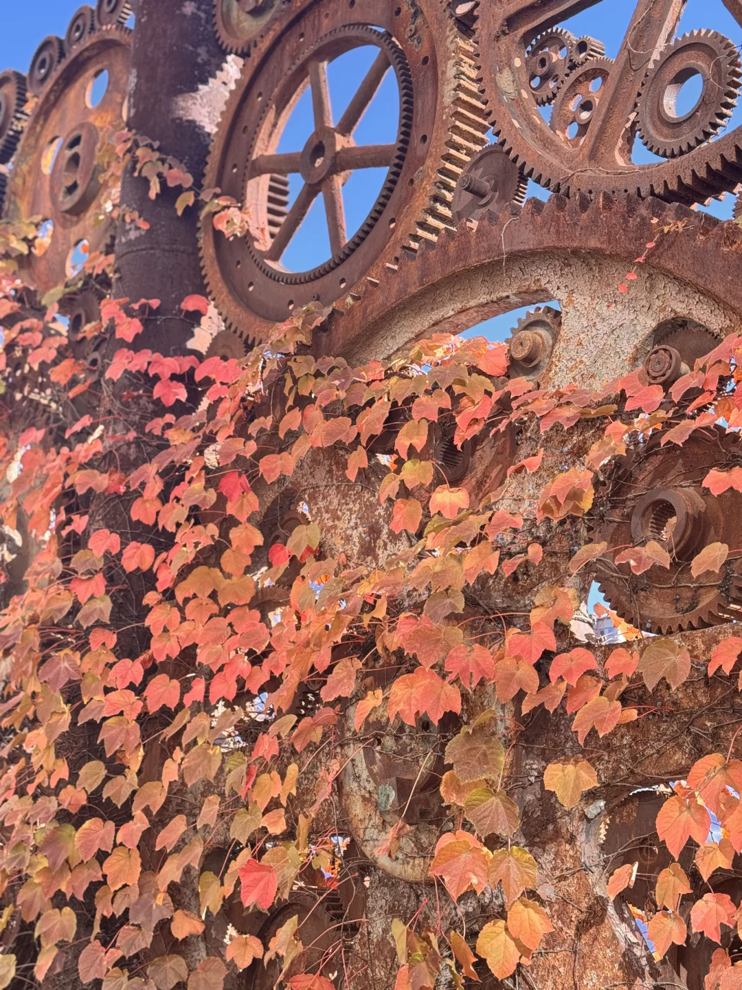 我好像看到了哈利波特的世界🏰