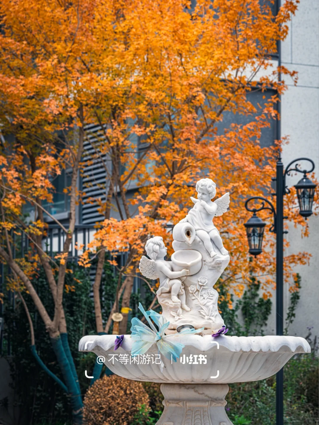 石家庄📍洋气的秋天，藏在这几个地方🍁