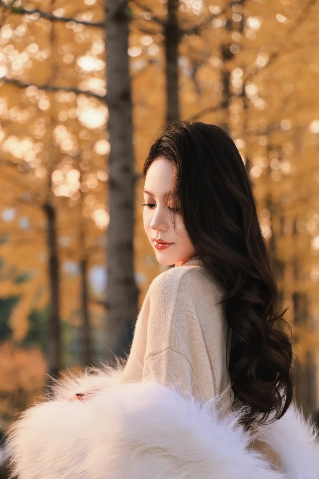 石家庄银杏大道！附带详细位置