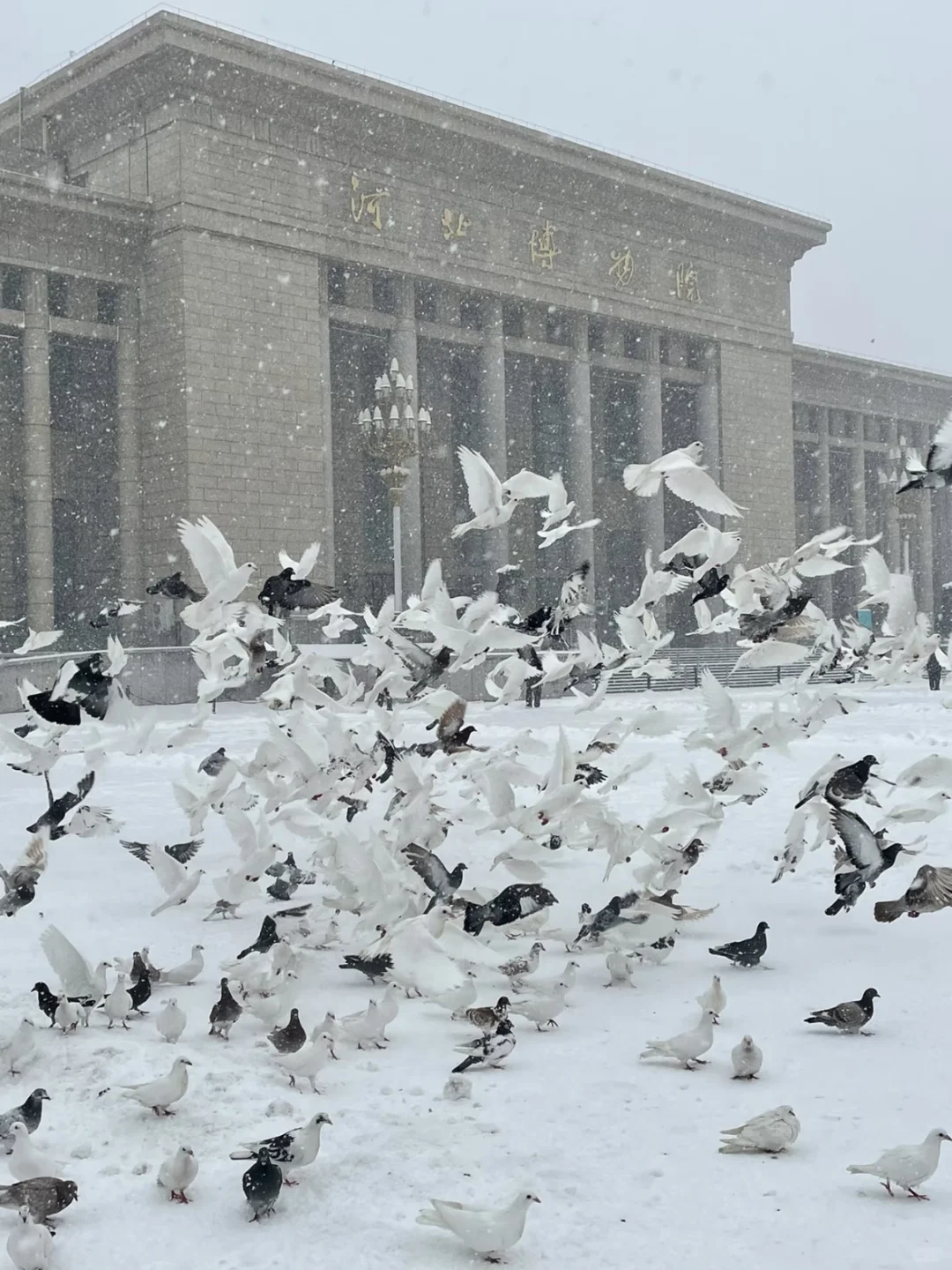 WeChat|石家庄旅游朋友圈文案就这样发❗❗