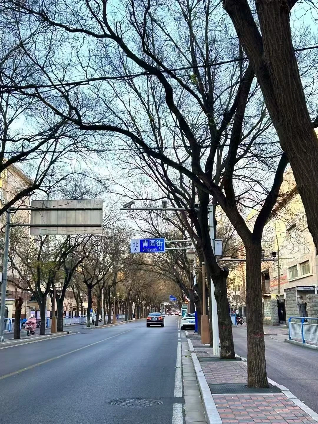 春夏秋冬的青园街