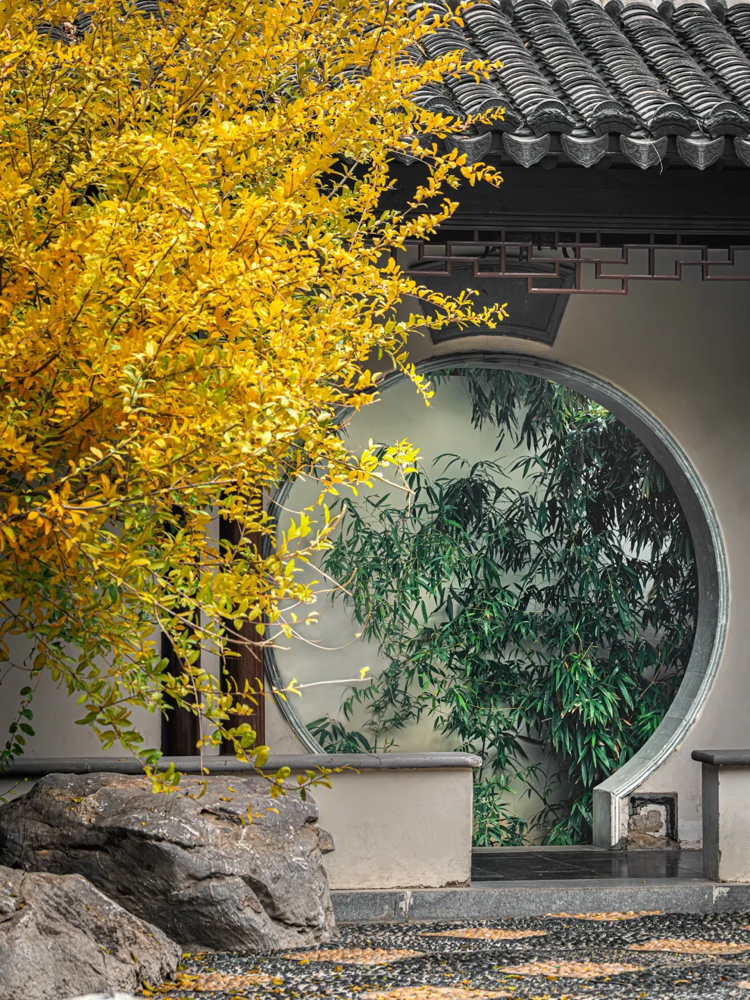 石家庄📍中式美学配秋色，这些公园——绝了🍂