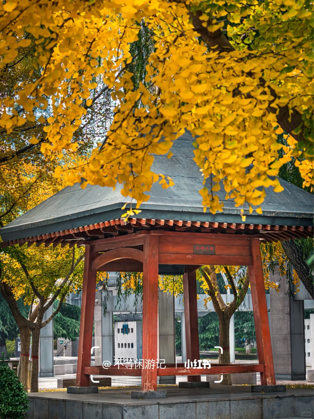 石家庄📍洋气的秋天，藏在这几个地方🍁