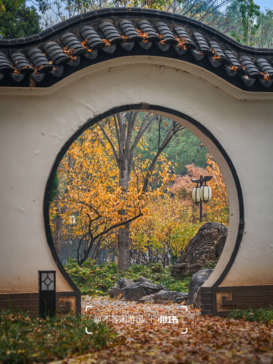 石家庄📍中式美学配秋色，这些公园——绝了🍂