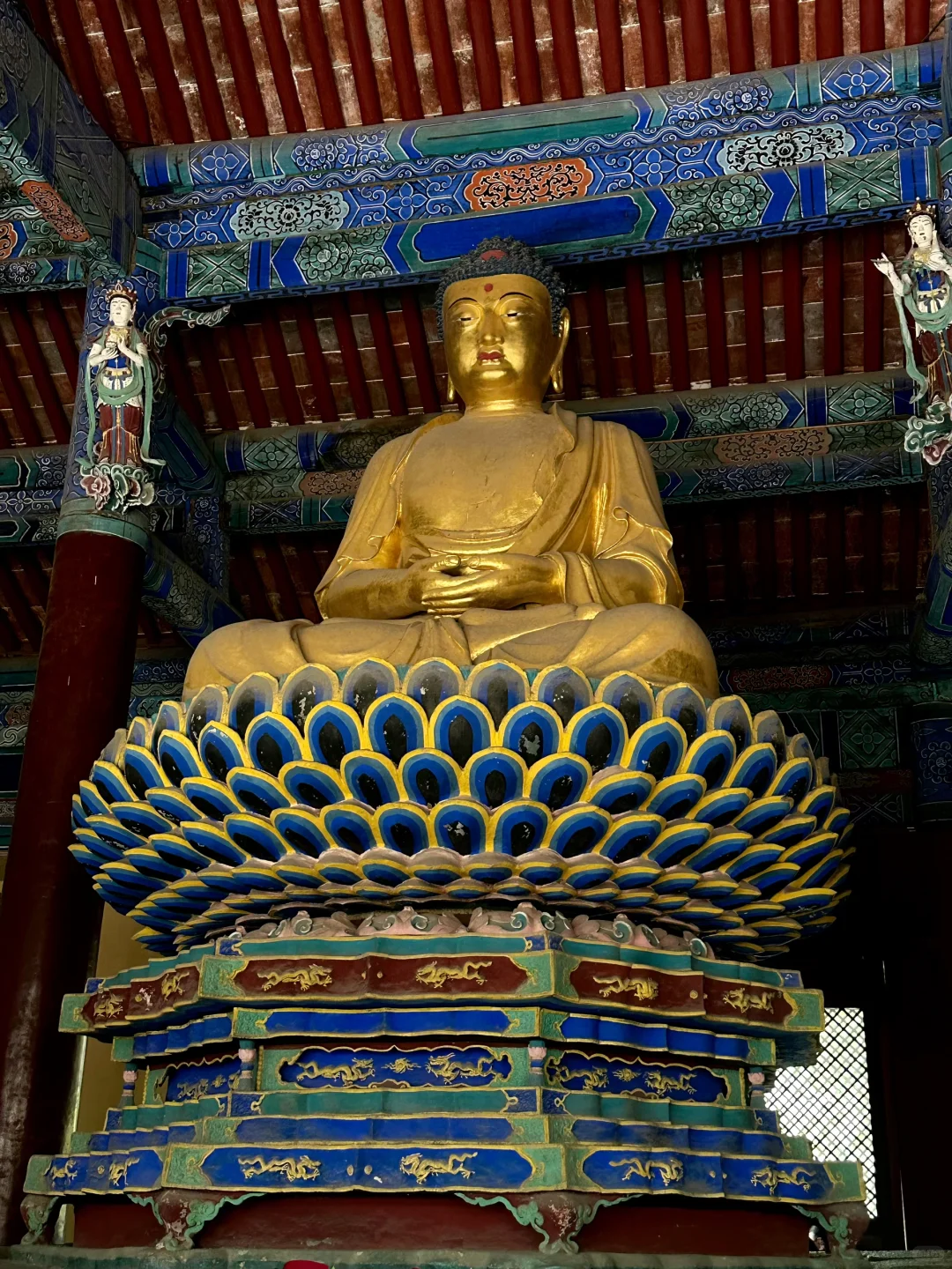 正定丨低精力老鼠本地人一日游ʚ🐭ɞ