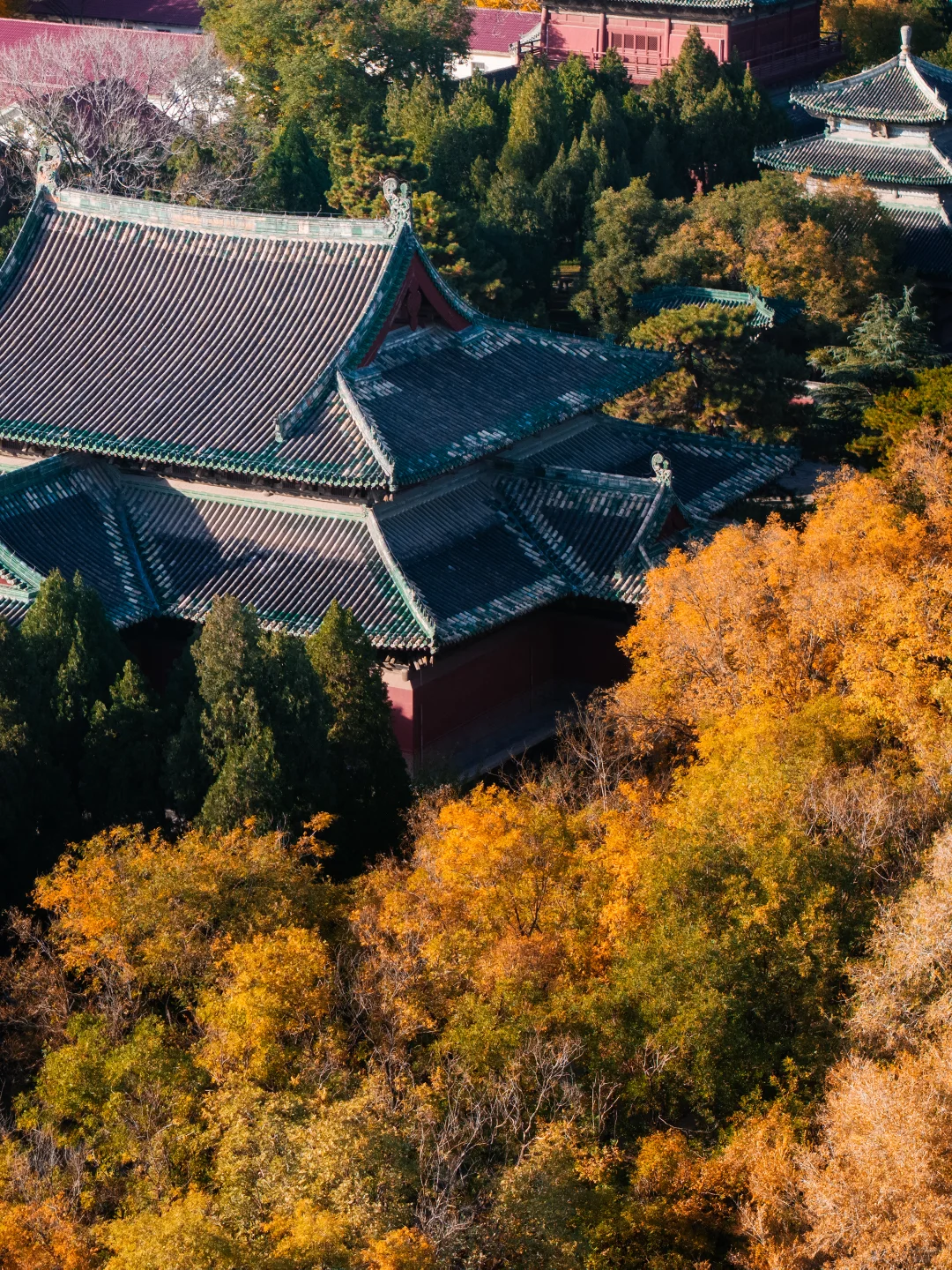 周末逃离北京，正定，一个被低估的宝藏古城