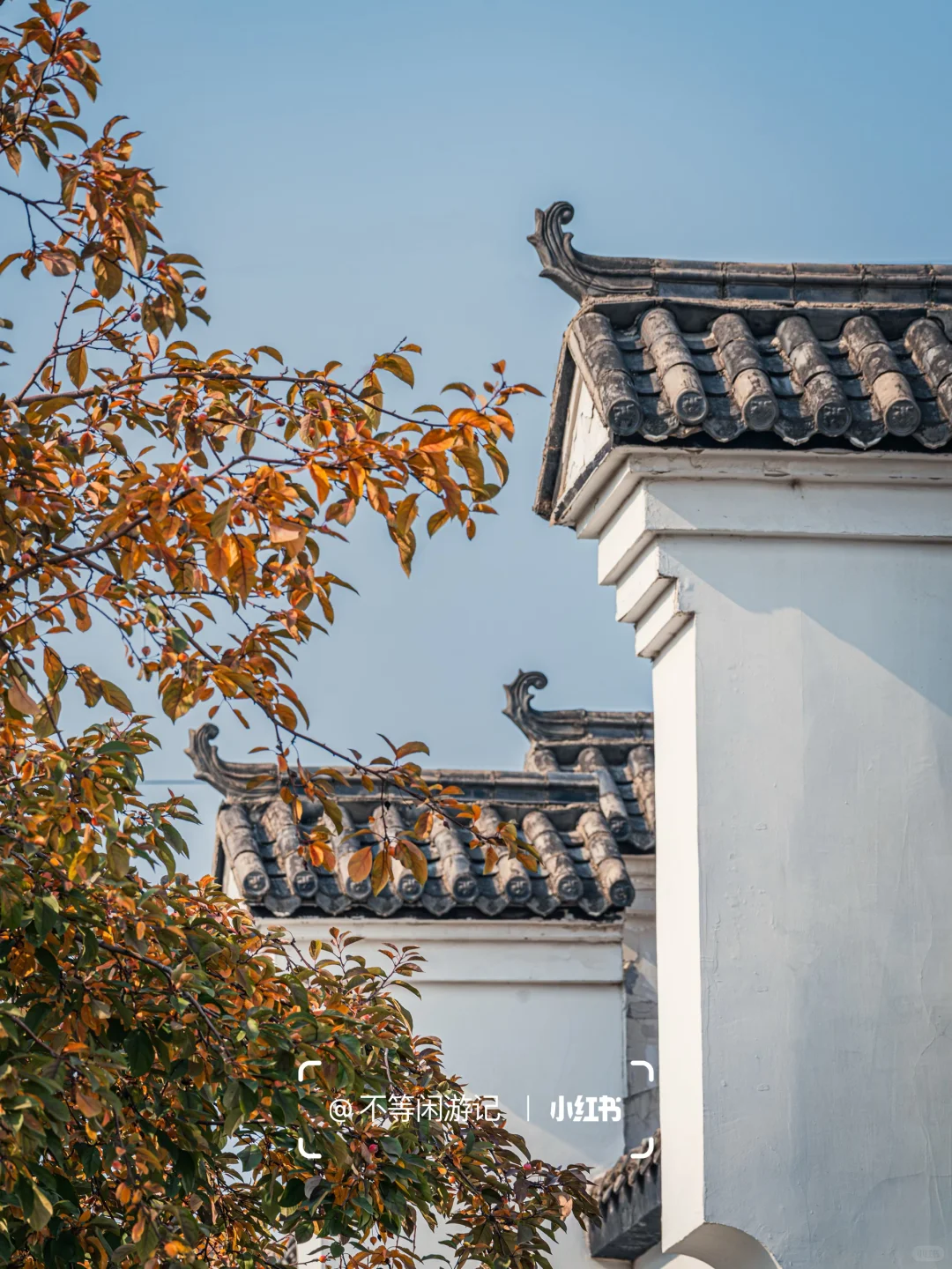 石家庄📍中式美学配秋色，这些公园——绝了🍂