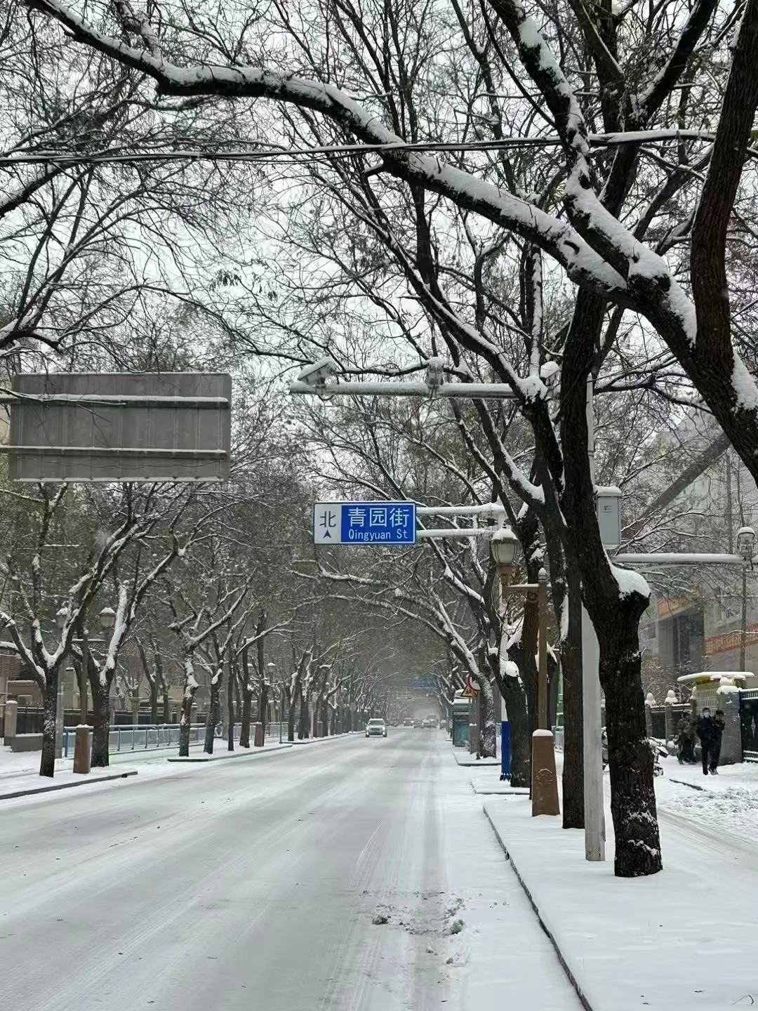 春夏秋冬的青园街