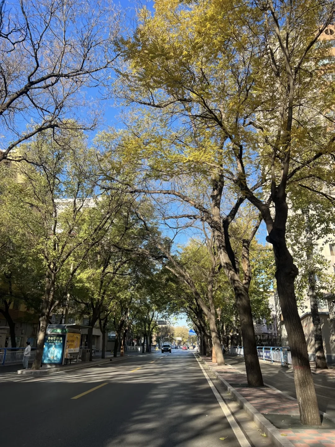 📍𝐒𝐡𝐢𝐣𝐢𝐚𝐳𝐡𝐮𝐚𝐧𝐠 |石家庄文案