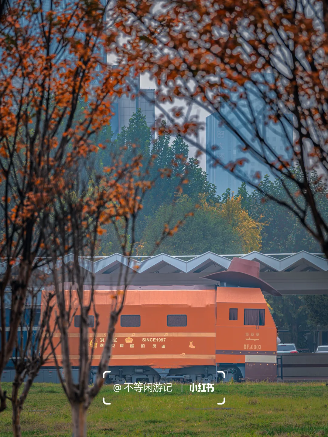 石家庄📍洋气的秋天，藏在这几个地方🍁