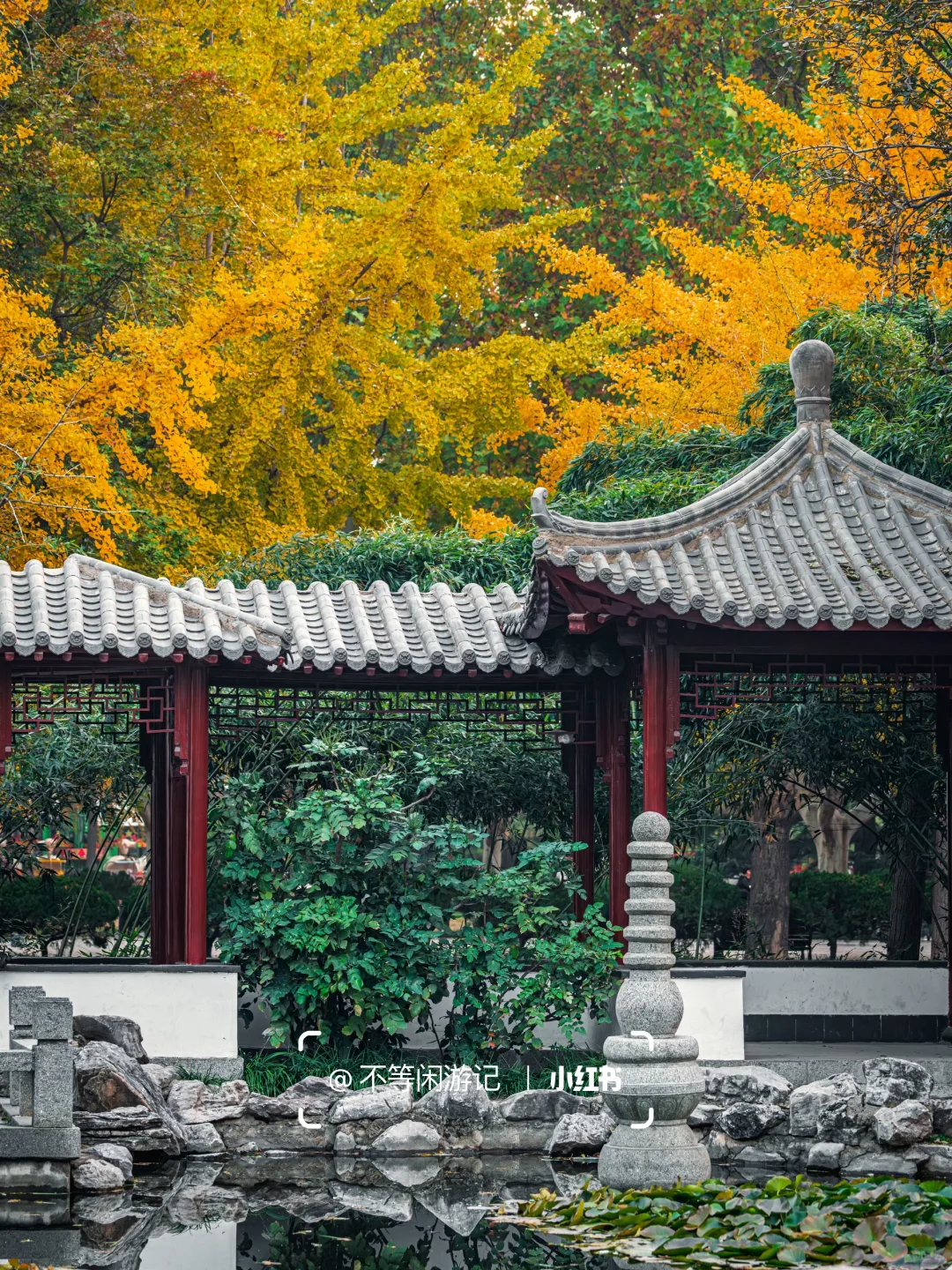 石家庄📍中式美学配秋色，这些公园——绝了🍂