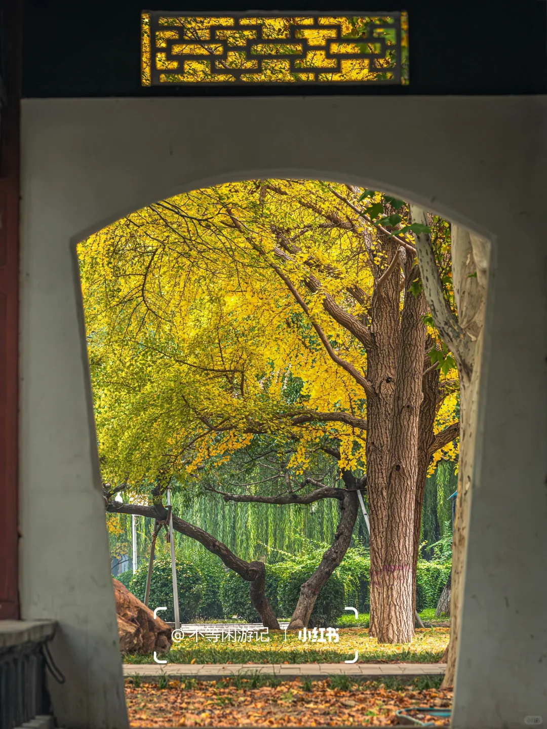 石家庄📍中式美学配秋色，这些公园——绝了🍂