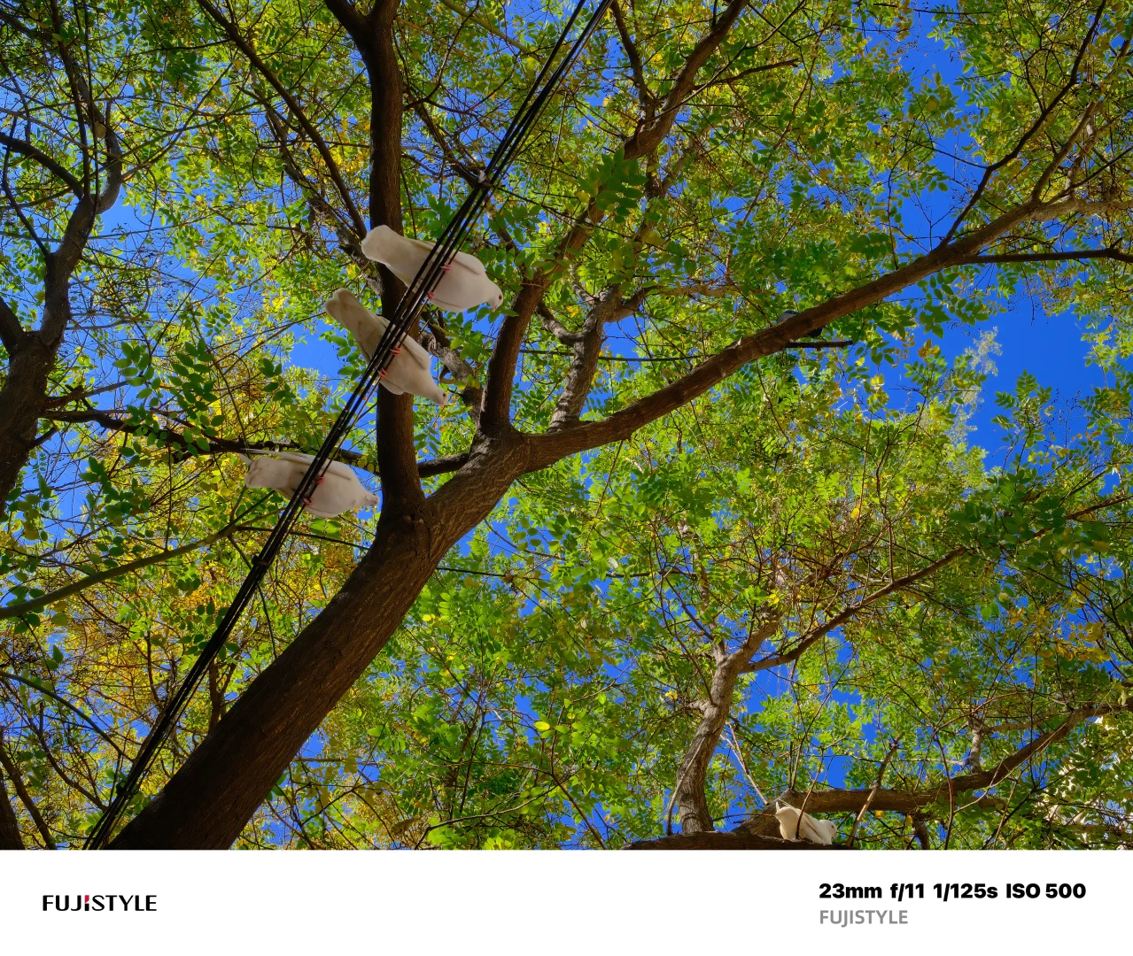 石家庄Citywalk｜阳光肆意