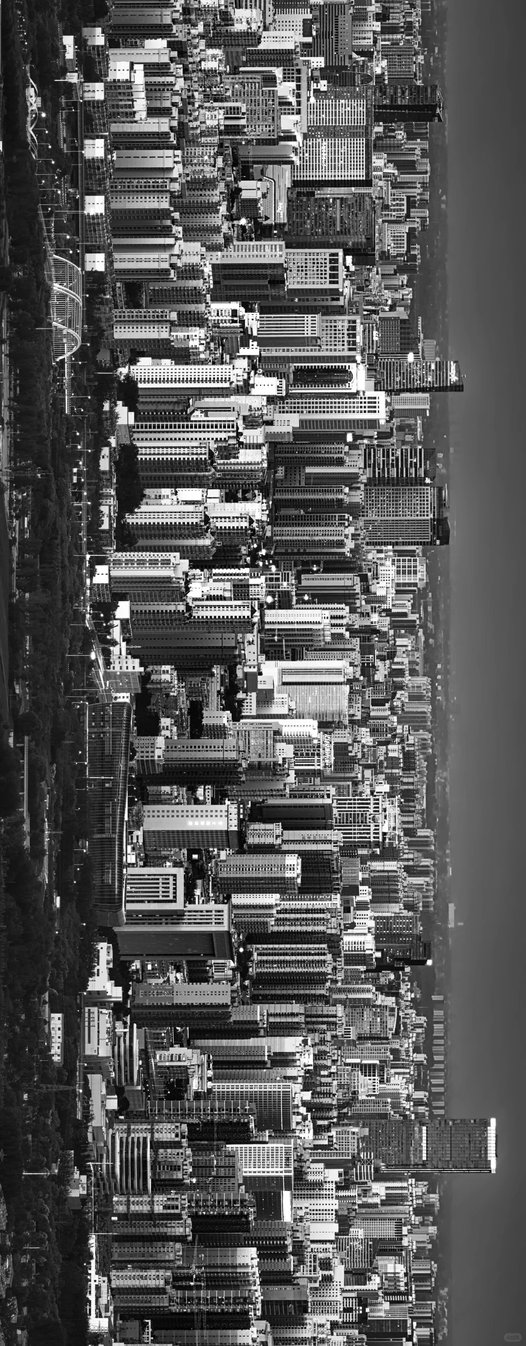 逃离「石家庄」