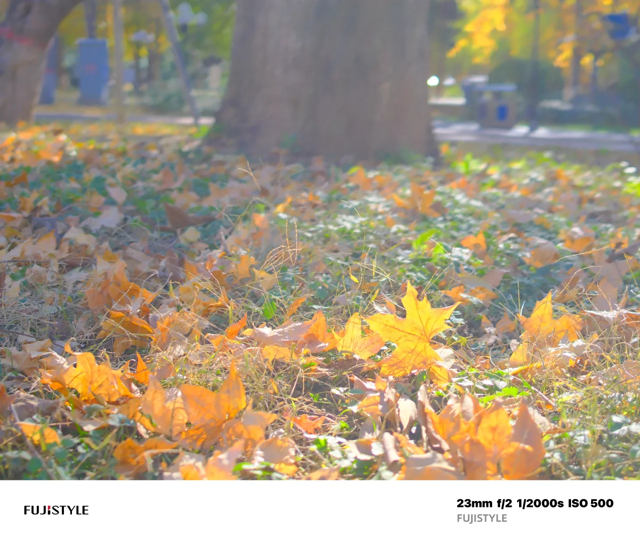 石家庄Citywalk｜阳光肆意