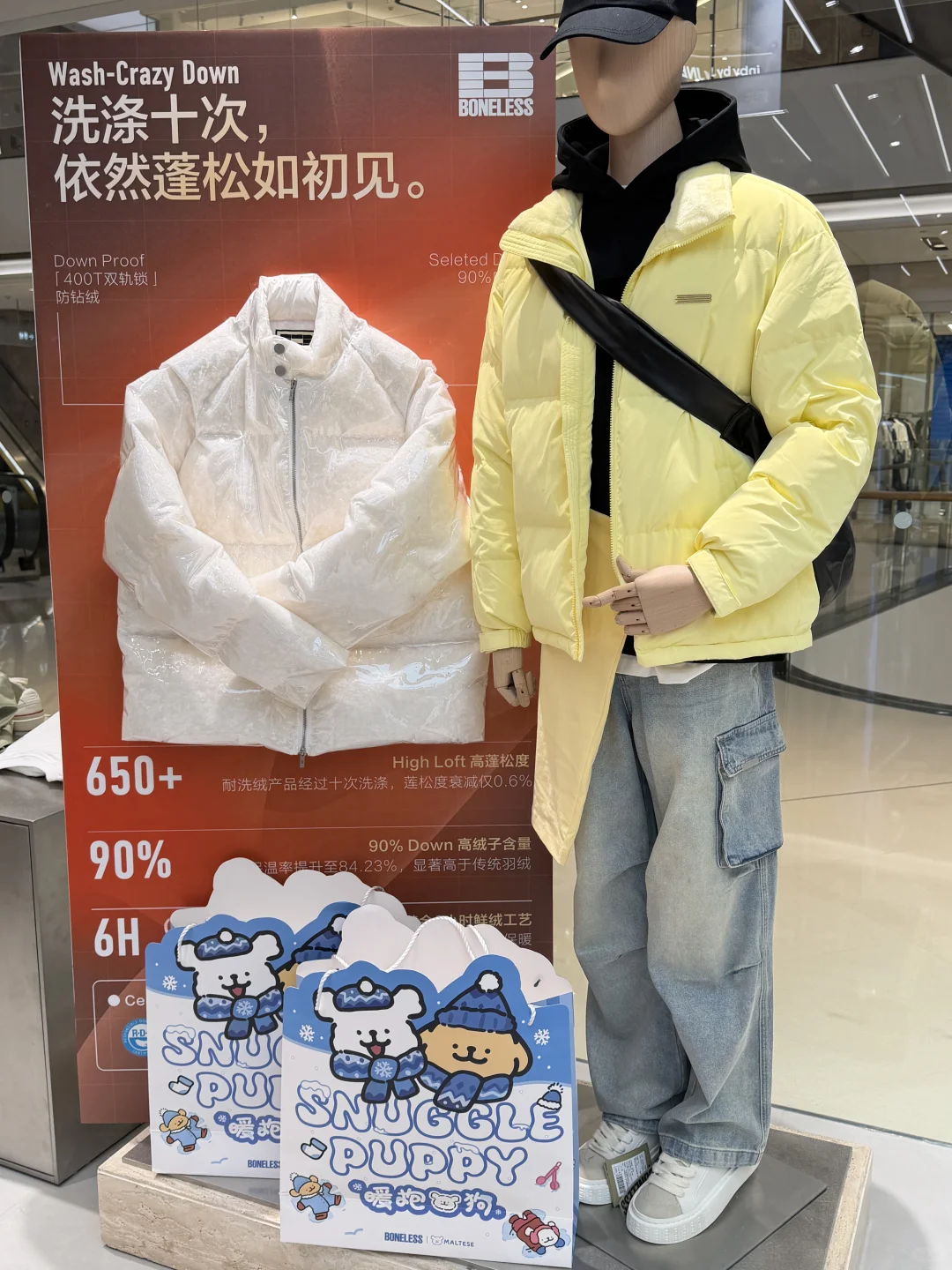 石家庄！终于上新了！