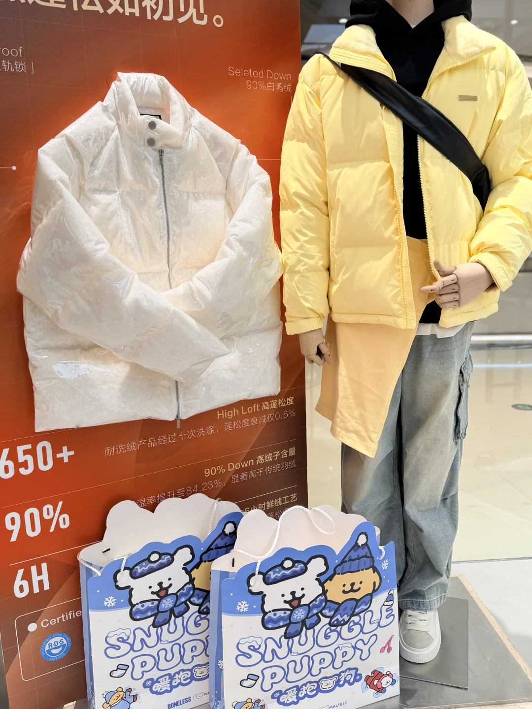 石家庄是不是都接到通知了？？？太值了……