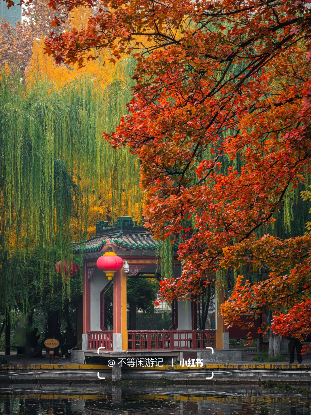 石家庄📍中式美学配秋色，这些公园——绝了🍂